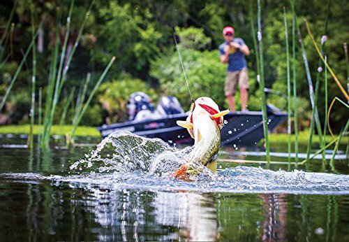 Spinnerbait Fishing Lure Kit with Tackle Boxes Spinnerbait Fishing Lure Kit with Tackle Boxes